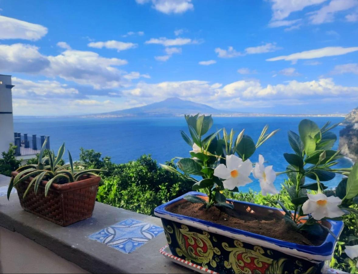 Dimora Del Conte Sorrento Coast Seaview Apartment