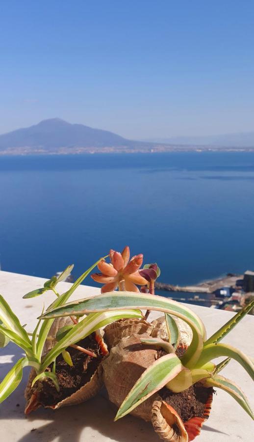 Dimora Del Conte Sorrento Coast Seaview Apartment *